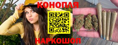дживик Нальчик