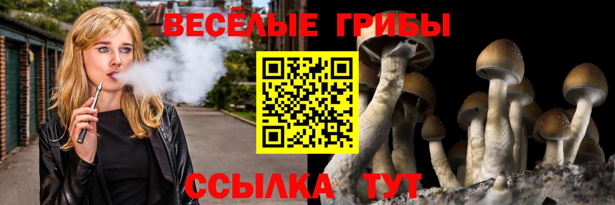 Тосно  Псилоцибиновые грибы MAGIC MUSHROOMS  Вход с VPN 